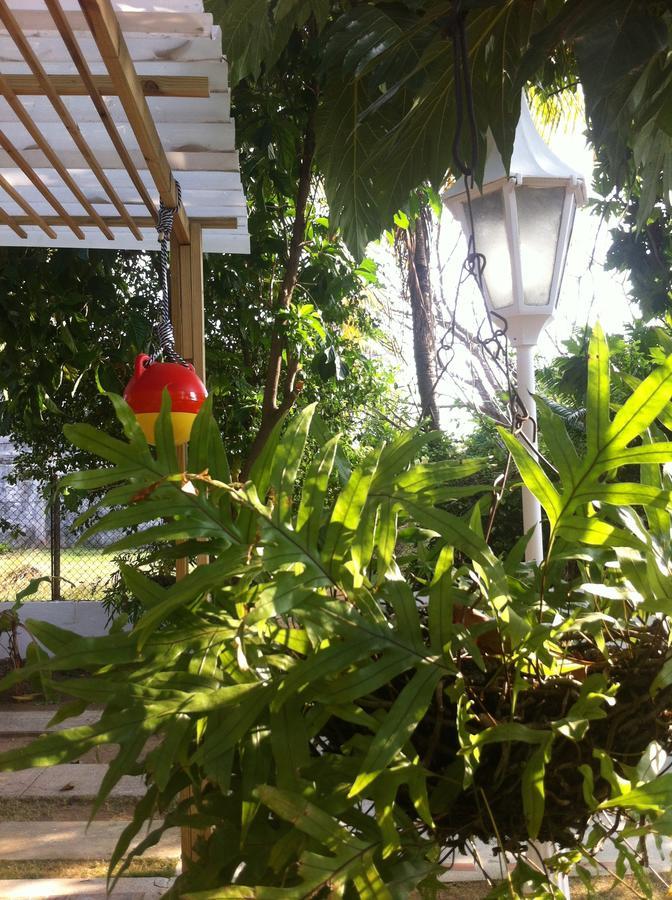 Hostal Casaluna San Andres Екстериор снимка